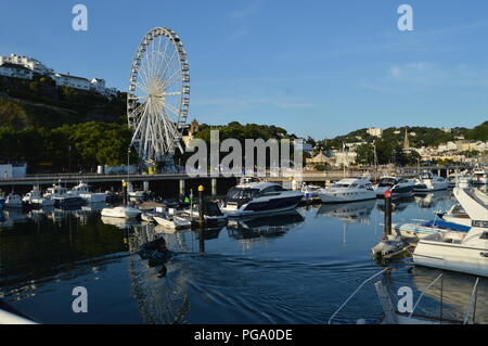 Port de plaisance de Torquay et du port un soir d'été vue depuis la jetée Banque D'Images