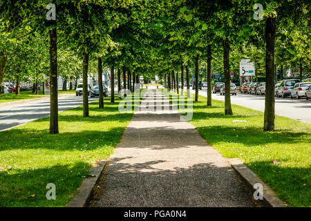 Une belle vue le long de la brique pour piétons entre une voûte d'arbres verts sur l'Avenue du Président Hoover à Lille, France Banque D'Images