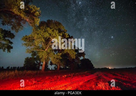 Voie lactée dans le ciel étoilé de nuit au-dessus des arbres dans la forêt de l'été. Glowing Stars au-dessus de paysage. Vue depuis l'Europe. La masse est de couleur rouge par Lampe arrière Banque D'Images