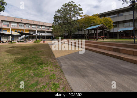 Un épaulement de l'herbe et cour devant des bâtiments A et C à l'Institut ou du nord de Sydney à Sydney TAFE Hornsby, New South Wales, Australie Banque D'Images