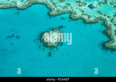 Célèbre récif coeur niché dans la Grande Barrière de Corail. Banque D'Images