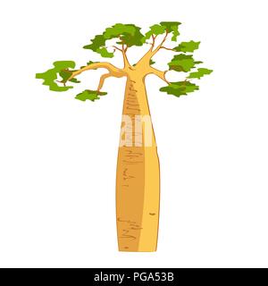 Baobab belle silhouette. L'Adansonia grandidieri. La flore de Madagascar. Vector illustration croquis Illustration de Vecteur