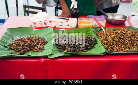 La nourriture thaïe épicée au plat de vers et d'insectes au marché de l'alimentation de rue Banque D'Images