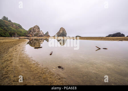 Harris Beach State Park. La côte sud de l'Oregon, USA. Banque D'Images
