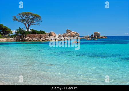 La plage de Palombaggia avec vert turquoise mer, Porto Vecchio, Corse-du-Sud, Corse, France Banque D'Images