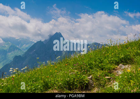 Panorama des montagnes de l'Laufbacher Eck-Weg, une vue panoramique sur la montagne de la piste dans le Nebelhorn, derrière le Höfats Oytal Banque D'Images