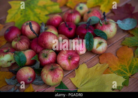 Les pommes d'automne, les feuilles d'automne, des pommes rouges dans un village dans un jardin sur une surface en bois sur une souche. Banque D'Images