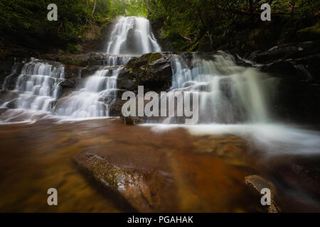 Parc national des Great Smoky Mountains de Laurel Falls - Laurel Falls sur le sentier des Laurel Falls dans les Smoky Mountains du Tennessee - chutes d'eau inférieures et inférieures Banque D'Images