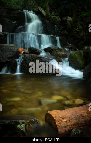 Parc national des Great Smoky Mountains de Laurel Falls - Laurel Falls sur le sentier des Laurel Falls dans les Smoky Mountains du Tennessee - chutes d'eau inférieures et inférieures Banque D'Images