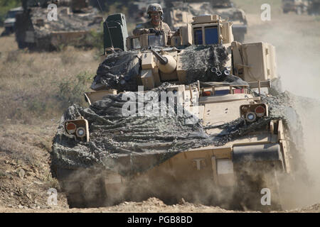 La 1ère Armée américaine, le lieutenant Kevin Henry, un soldat affecté à la Compagnie Alpha, 2e Bataillon, 5e régiment de cavalerie, 1st Armored Brigade Combat Team, 1re Division de cavalerie sol guides un M2A3 véhicule de combat Bradley pendant un exercice de tir réel tableau XII, Novo Selo, Bulgarie, le 23 août 2018. Cet exercice est à l'appui de la résolution de l'Atlantique, un exercice d'entraînement durables entre l'OTAN et des Forces américaines. (U.S. La Garde nationale de l'armée photo par le Sgt. Jamar Marcel Pugh, 382e Détachement des affaires publiques/ 1ère ABCT, 1er CD/libérés) Banque D'Images