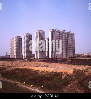 Fin des années 1960, une vue de l'construit récemment Red Road studios, la fameuse tour moderne en développement immobilier à Glasgow, en Écosse. -Les 28 et 31 étages tour de blocs ont été conçus par William Sheller Sam et construit pour loger jusqu'à 4 700 personnes de la centre-ville de bidonvilles. Plus tard, ils ont été démolis, comme ils étaient devenus bien plus mauvais, ravagé par la criminalité, le comportement anti-social et construit avec le virus mortel de l'amiante. Leur construction a été un échec, les deux géants de la ville de l'après-guerre et la politique de rénovation de l'habitat de haute tour bloque comme une vente et agréable pour les gens de vivre. Banque D'Images