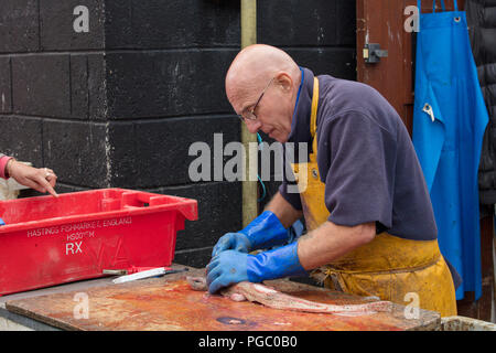 Expert, négociant unique, poissonnier, vend, prépare le requin-chat tacheté sur le marché de poissons de plage de Hastings.Curieux passant pointe dans un conteneur rouge. Banque D'Images