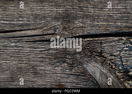 La texture du bois scié, close-up Banque D'Images