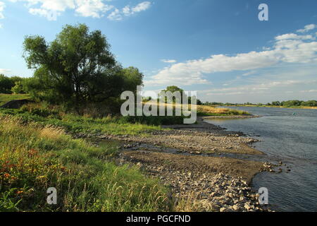 La rivière de l'Elbe à Magdebourg. Banque D'Images