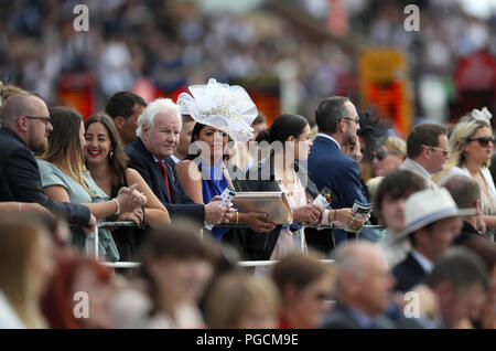 Une femelle racegoer dans les stands au cours de Sky Bet Ebor Jour du Yorkshire Ebor Festival à l''hippodrome de York. Banque D'Images