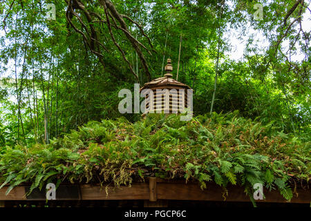 Gazebo en bois toiture recouverte de fougères - Davie, Floride, USA Banque D'Images