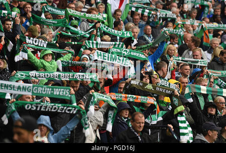 Brême, Allemagne. Août 25, 2018. Football, Bundesliga, 1e jour de match, le Werder Brême vs Hanovre 96 dans le stade Weserstadion de Brême : Werder fans montrent leurs écharpes. Credit : Carmen Jaspersen/DPA - AVIS IMPORTANT : DFL règlement interdit toute utilisation des photographies comme des séquences d'images et/ou quasi-vidéo./dpa/Alamy Live News Banque D'Images