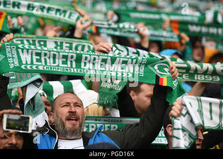Brême, Allemagne. Août 25, 2018. Football, Bundesliga, 1e jour de match, le Werder Brême vs Hanovre 96 dans le stade Weserstadion de Brême : Werder fans montrent leurs écharpes. Credit : Carmen Jaspersen/DPA - AVIS IMPORTANT : DFL règlement interdit toute utilisation des photographies comme des séquences d'images et/ou quasi-vidéo./dpa/Alamy Live News Banque D'Images