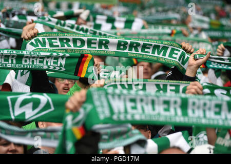 Brême, Allemagne. Août 25, 2018. Football, Bundesliga, 1e jour de match, le Werder Brême vs Hanovre 96 dans le stade Weserstadion de Brême : Werder fans montrent leurs écharpes. Credit : Carmen Jaspersen/DPA - AVIS IMPORTANT : DFL règlement interdit toute utilisation des photographies comme des séquences d'images et/ou quasi-vidéo./dpa/Alamy Live News Banque D'Images