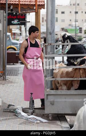 Hébron, en Palestine, le 4 juin, 2014 : un jeune Palestinien butcher est un défi d'une chèvre qui a été portée à son magasin pour être abattus. Banque D'Images