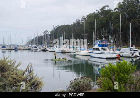 Bateaux dans la marina de Morro Bay State Park Banque D'Images