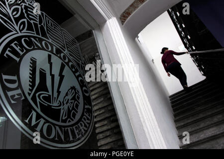 Dra. Mariela Arrazola Museo y Tecnológico de Monterrey . Instituto Tecnológico y de Estudios Superiores de Monterrey et l'Institut Technologique o Banque D'Images