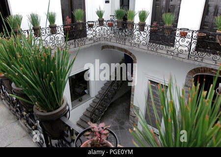 Dra. Mariela Arrazola Museo y Tecnológico de Monterrey . Instituto Tecnológico y de Estudios Superiores de Monterrey et l'Institut Technologique o Banque D'Images
