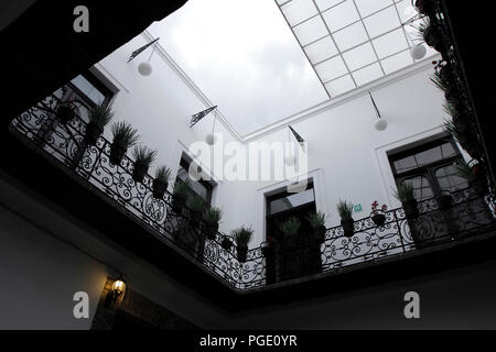 Dra. Mariela Arrazola Museo y Tecnológico de Monterrey . Instituto Tecnológico y de Estudios Superiores de Monterrey et l'Institut Technologique o Banque D'Images