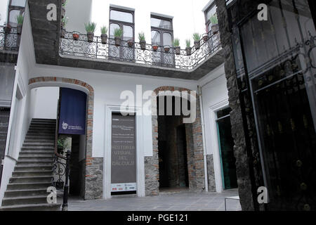 Dra. Mariela Arrazola Museo y Tecnológico de Monterrey . Instituto Tecnológico y de Estudios Superiores de Monterrey et l'Institut Technologique o Banque D'Images