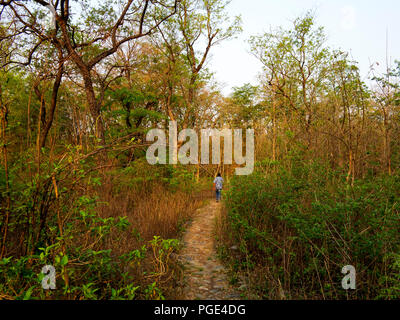 Trekking à Corbett Jungle près de la rivière de sanglier, Kaladhungi, Uttarakhand, Inde Banque D'Images