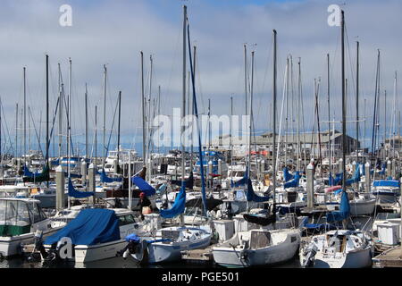 Voiliers amarrés le long des quais du port de Monterey, Monterey, Monterey Bay, Californie, USA Banque D'Images