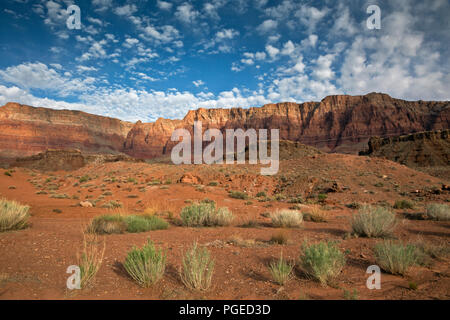 AZ00348-00...ARIZONA - l'élever au-dessus de buttes Vermilion la Cathédrale Se laver à Glen Canyon National Recreation Area. Banque D'Images