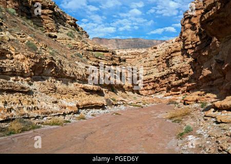 AZ00350-00...ARIZONA - Cathédrale Wash dans Glen Canyon National Recreation Area. Banque D'Images