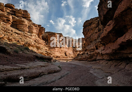 AZ00351-00...ARIZONA - Cathédrale Wash dans Glen Canyon National Recreation Area. Banque D'Images