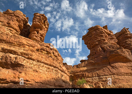 AZ00352-00...ARIZONA - murs colorés de Cathedral Wash dans Glen Canyon National Recreation Area. Banque D'Images