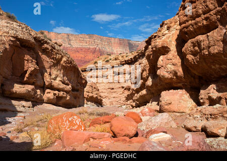 ARIZONA - murs colorés de Cathedral Wash dans Glen Canyon National Recreation Area. Banque D'Images