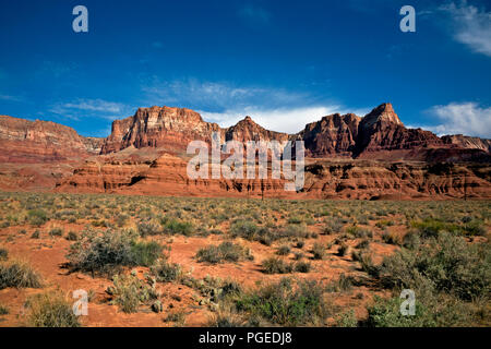 AZ00358-00...ARIZONA - prairie sage à la base de la Vermilion Cliffs à Glen Canyon National Recreation Area. Banque D'Images