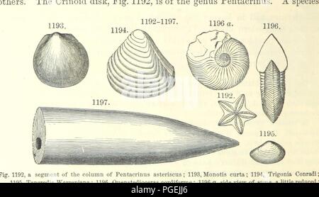 Libre à partir de la page 768 du manuel de géologie '[traiter des principes de la science avec référence spéciale à l'histoire géologique américain ... Édition révisée.]' . Banque D'Images