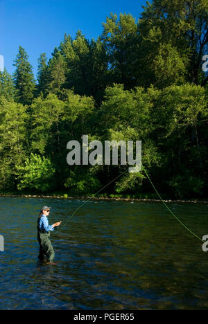 Flyfishing le nord de la rivière Santiam, Fisherman's Bend Recreation Area, Salem District Bureau de la gestion des terres, de l'Oregon Banque D'Images