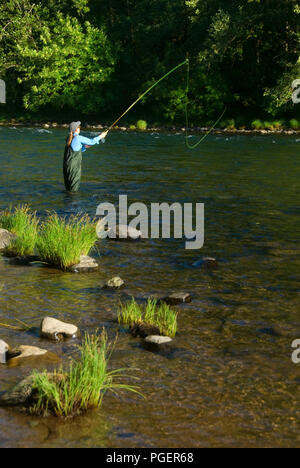 Flyfishing le nord de la rivière Santiam, Fisherman's Bend Recreation Area, Salem District Bureau de la gestion des terres, de l'Oregon Banque D'Images