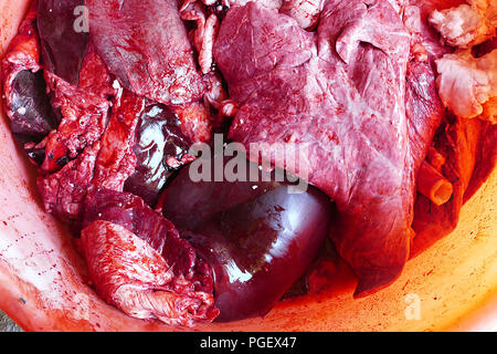 Les abats de bovins dans un récipient, les poumons et le foie, abats de vache dans un récipient, vache coeur, Banque D'Images