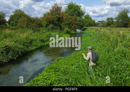 Un pêcheur de mouche tiges un poisson sur la célèbre rivière Itchen dans Hampshire Banque D'Images