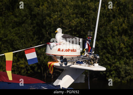 Seagull perché sur le parapet élevé d'un bateau dans le Loch Lomond et le Parc National de Trassochs Banque D'Images