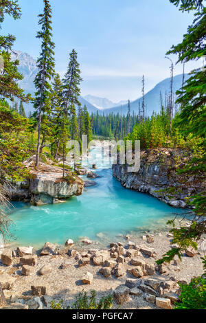 Les eaux turquoise du ruisseau Tokumm traverse en Canyon dans le Parc National de Kootenay, Colombie-Britannique, Canada, près de Banff. Banque D'Images