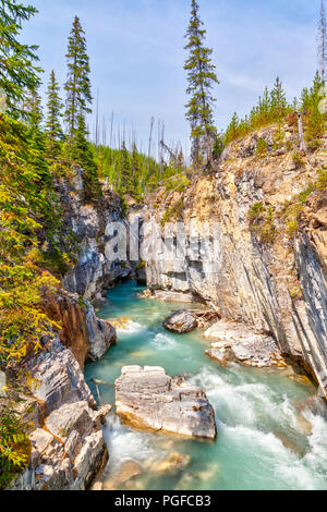 Les eaux turquoise du ruisseau Tokumm traverse en Canyon dans le Parc National de Kootenay, Colombie-Britannique, Canada, près de Banff. Banque D'Images