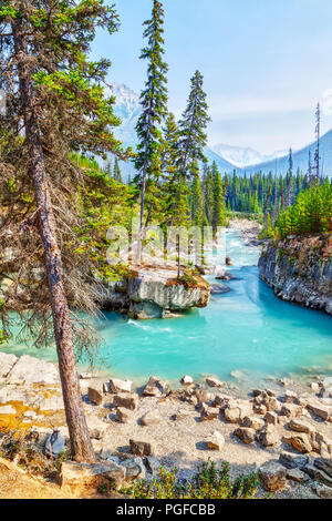 Les eaux turquoise du ruisseau Tokumm traverse en Canyon dans le Parc National de Kootenay, Colombie-Britannique, Canada, près de Banff. Banque D'Images