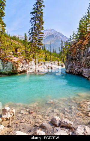 Les eaux turquoise du ruisseau Tokumm traverse en Canyon dans le Parc National de Kootenay, Colombie-Britannique, Canada, près de Banff. Mont Whymper Banque D'Images