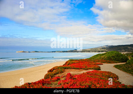 Jolie paysage marin de l'océan Pacifique, à Pebble Beach, près de Monterey, Californie. Fond brumeux avec le fracas des vagues, sable, rochers et nuage bleu ciel Banque D'Images