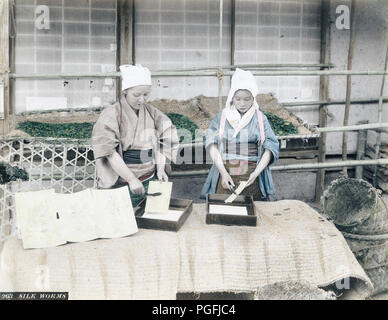 [ Ch. 1880 Japon - Culture de soie japonais ] - deux femmes travaillent avec des vers à soie. 19e siècle vintage albumen photo. Banque D'Images