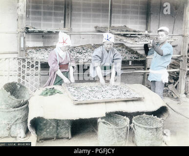 [ Ch. 1880 Japon - Culture de soie japonais ] - deux femmes travaillent avec des vers à soie. 19e siècle vintage albumen photo. Banque D'Images